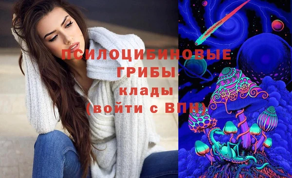 хмурый Абинск