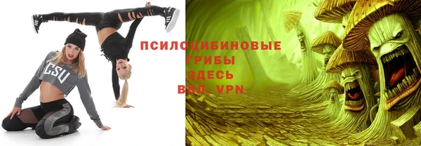 a pvp Алексин
